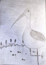 Lukoničová Lenka.jpg